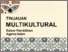 [thumbnail of E-Book_Tinjauan Multikultural (1).pdf]